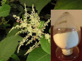 Resveratrol 98%, 50%