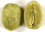 Green Coffee Bean Extract 10