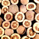 Citrus Aurantium Extract