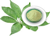 Notoginseng Leaf Triterpenes