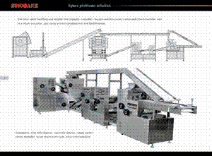 2011  Biscuit   Production  Line
