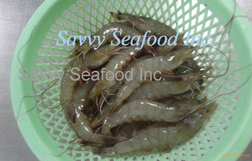 Frozen vannamei shrimp raw head on shell on (RHOSO) products,China ...