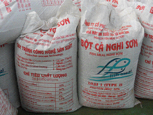 Fish meal 62% pro for sale