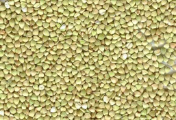 buckwheat kernel(small size and unroasted)