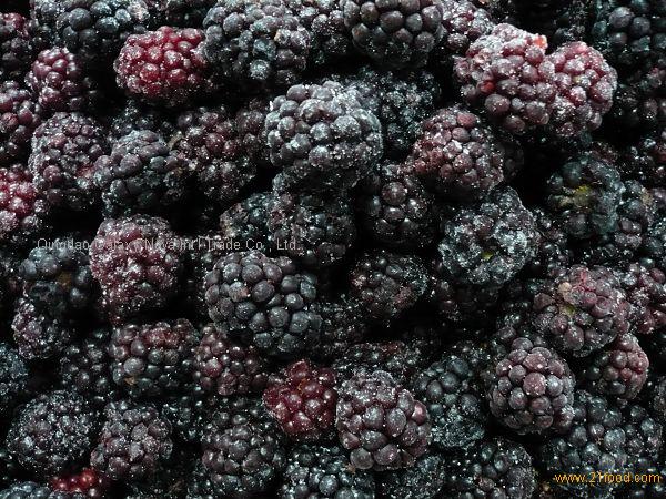 frozen blackberry,China price supplier - 21food