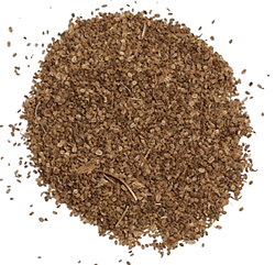 Common  Cnidium   Extract 