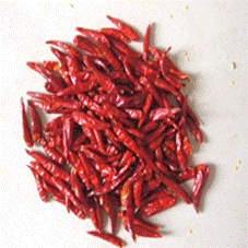 Tianying chilli