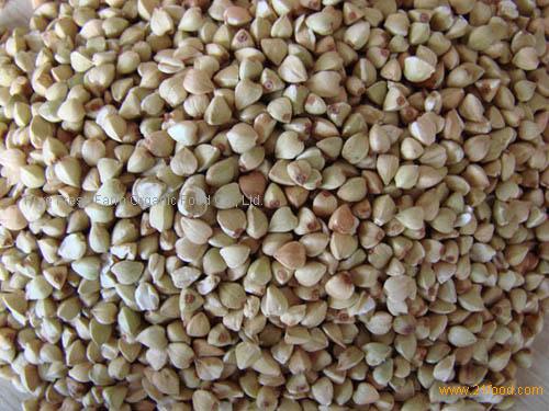 buckwheat kernel