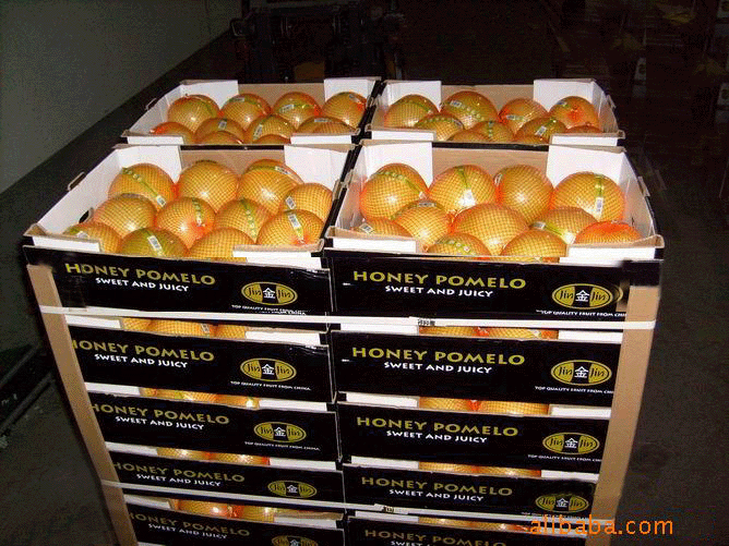 Honey pomelo,China price supplier - 21food