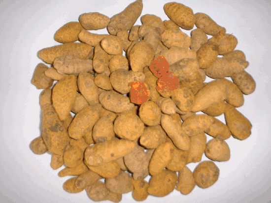 Curcumin
