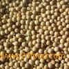 soy bean extract