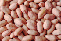 peanuts