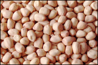 peanut in round shape