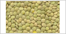 lentils