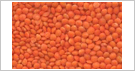 Crimson Lentils
