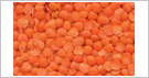 Split Red Lentils