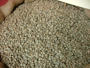 Coffee Rubosta Vietnam