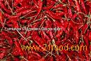 export chilli