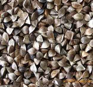Unprocessed Buckwheat