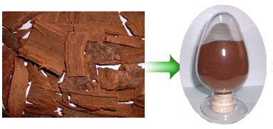  Pygeum   Bark   Extract 