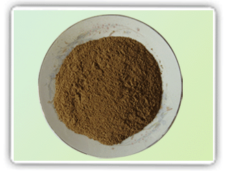 MUSHROOM POWDER