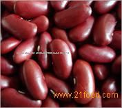 Red kidney beans british type