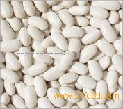 white speckled kidney bean Baishake type