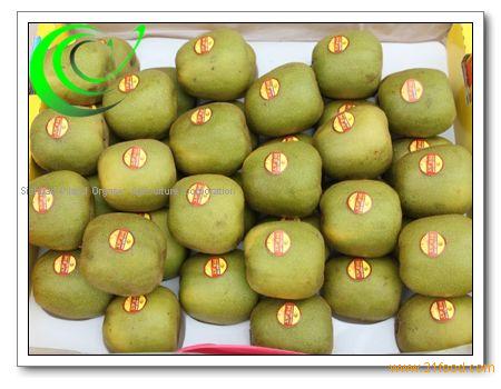 red kiwi/kiwi fruit,China SANJIA price supplier - 21food