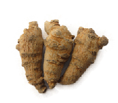  Panax   Notoginseng 