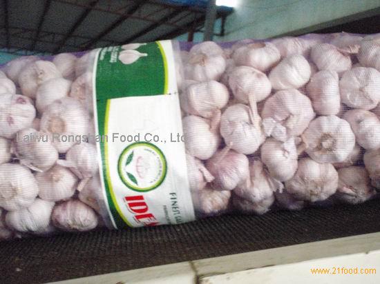 garlic in 20kg mesh bag