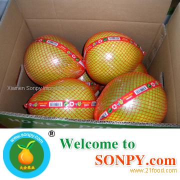 fresh pomelo