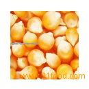 Pop Corn Kernels