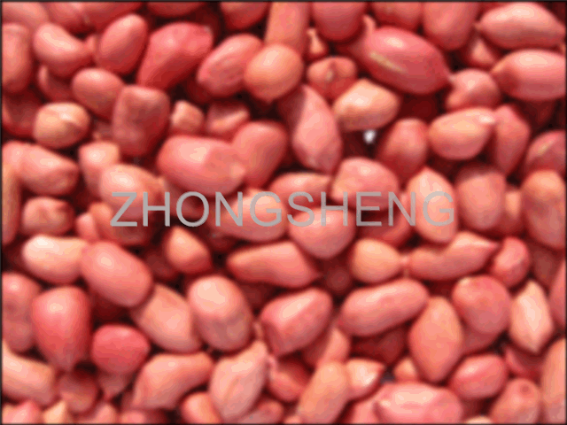 red skin peanut