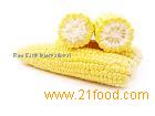 MAIZE