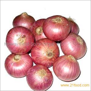 Fresh and Dried Onion