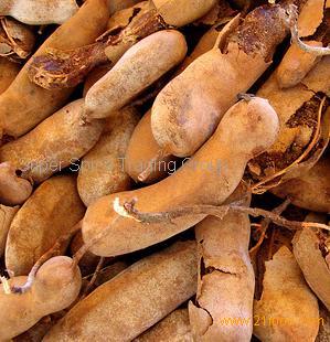 Tamarind,Cameroon price supplier - 21food