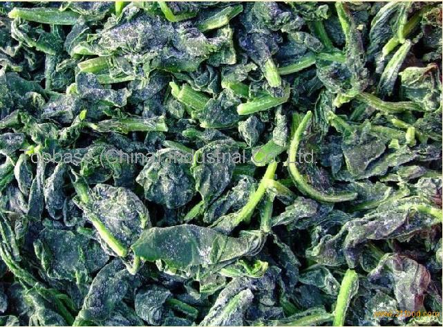 2012 new season Frozen Chopped Spinach Leaves,China price supplier - 21food