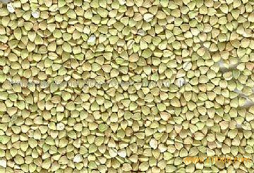 buckwheat kernels