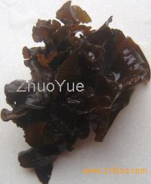 Copy of black fungus