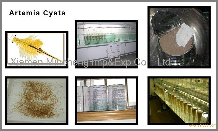 Artemia cysts,China MC price supplier - 21food