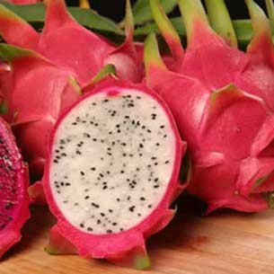 dragon fruit products,Vietnam dragon fruit supplier