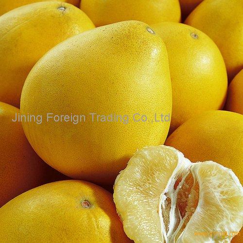 sweet golden pomelo china