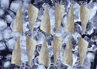 Pacific Cod Skinon Fillets