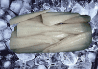  Atlantic   Cod   Tail s