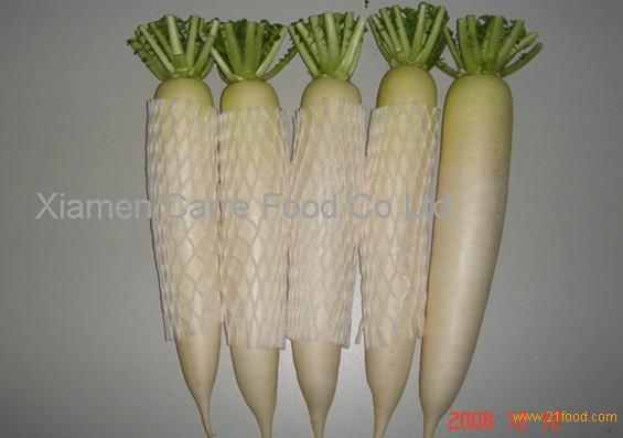 Chinese white radish products,China Chinese white radish supplier