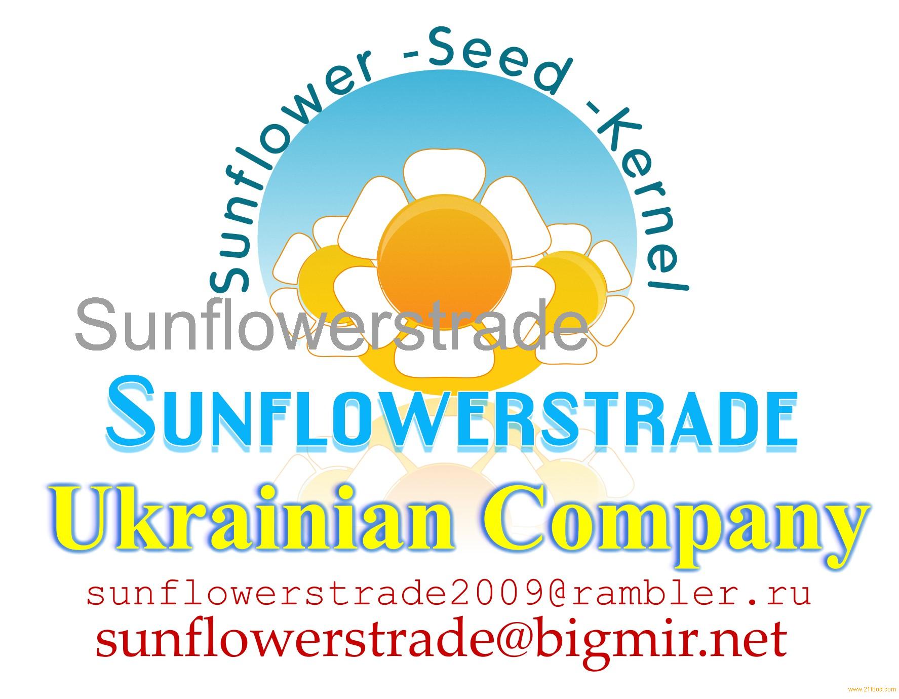 Sunflower SEEDS calibrated
