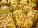Huge quantity of fresh ginger for sell