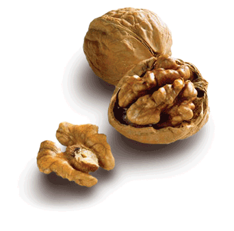 Walnuts (with shell and cracked 1/2, 1/4, 1/8, mix) from Ukraine