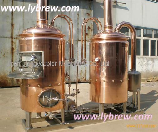 300L hotel brewing equipment,China LY price supplier - 21food