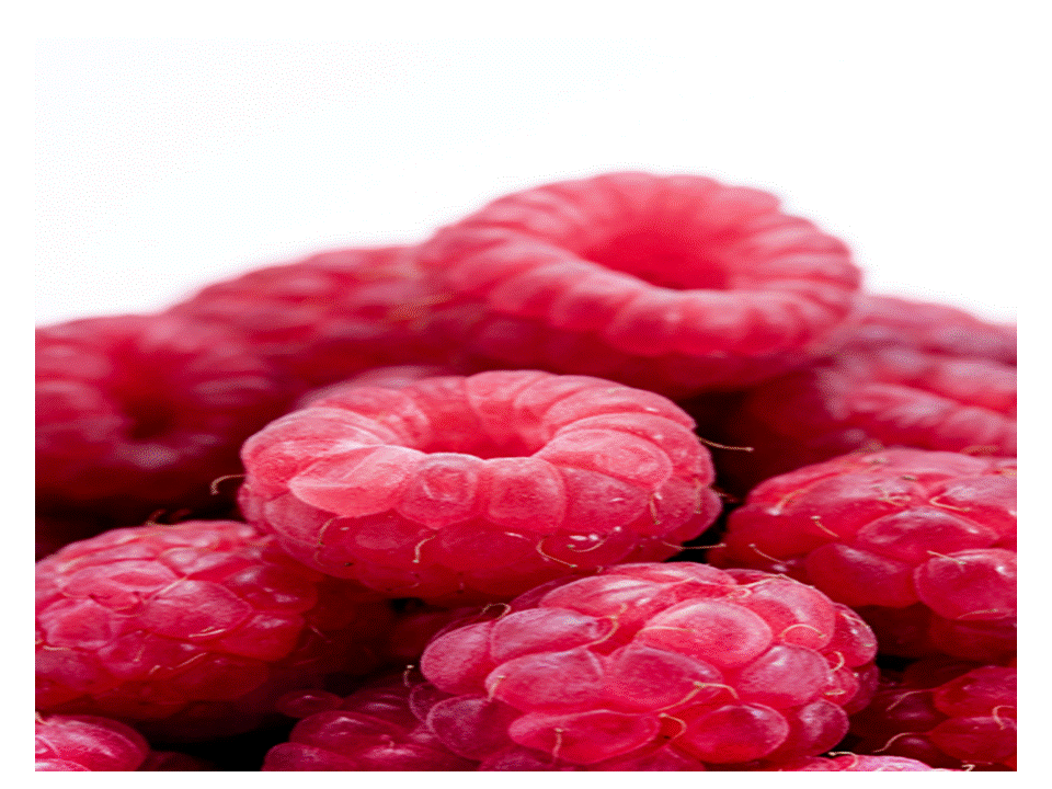 Fresh Berries